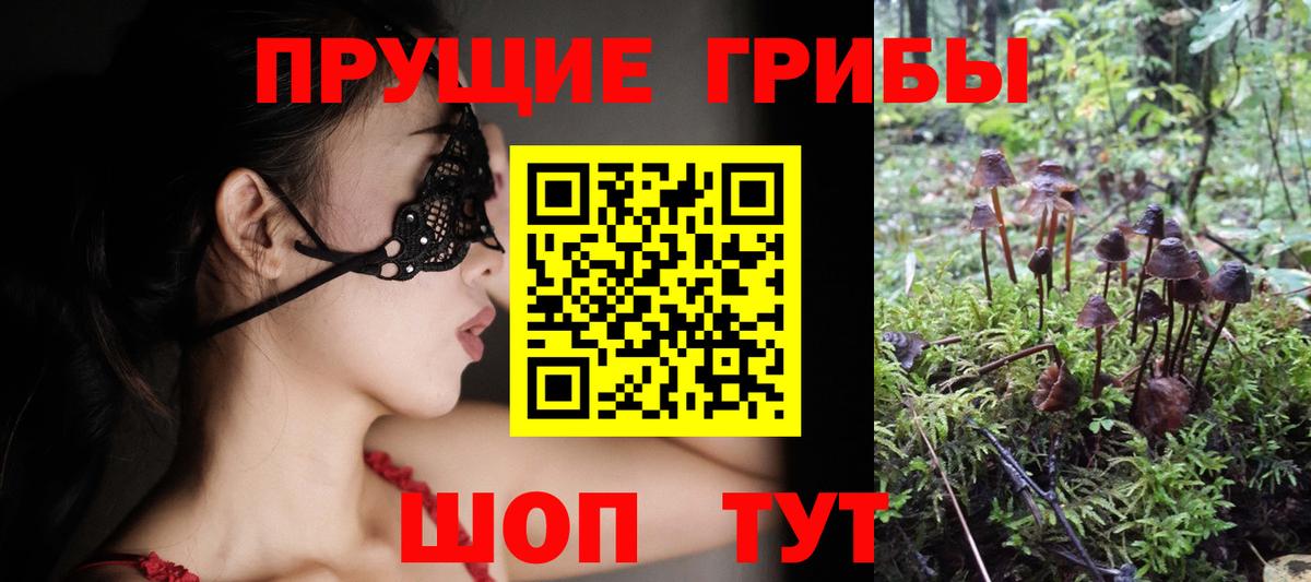 Псилоцибиновые грибы Psilocybe  Галлюциногенные грибы мицелий  Вход с VPN  Вышний Волочёк 